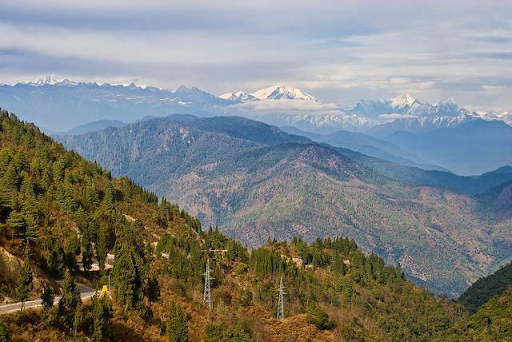 Explore Bhutan's untamed wilderness